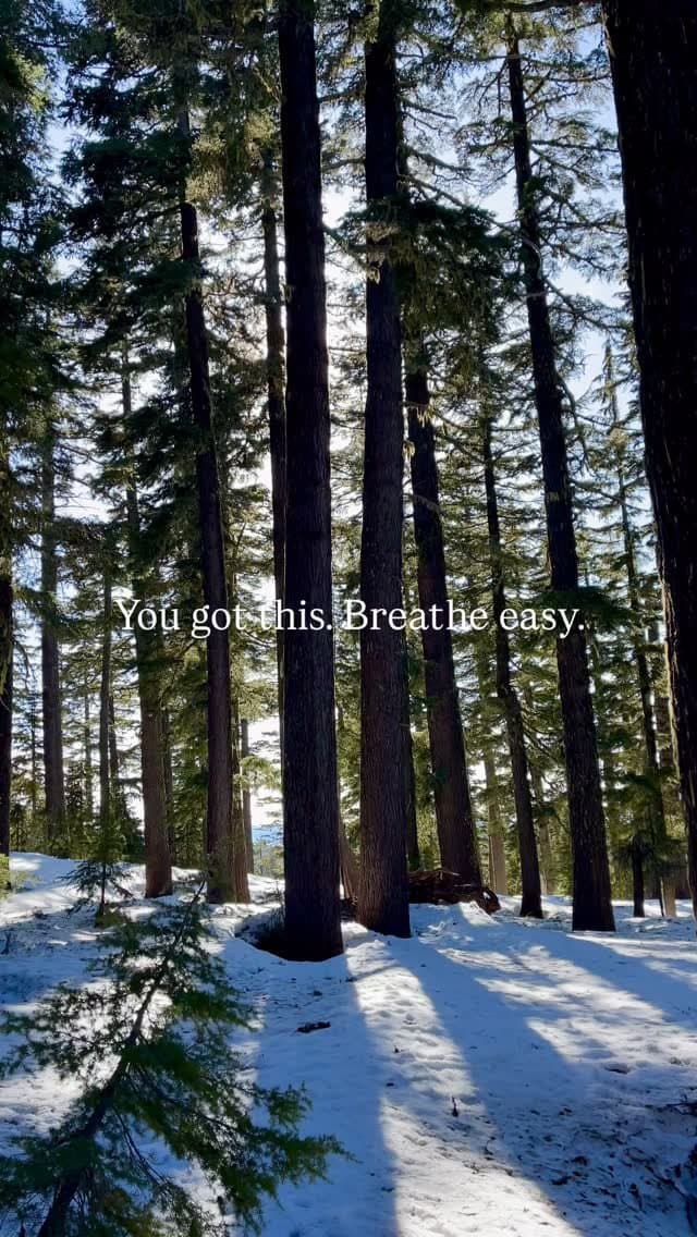 A winter forest Instagram reel from Recreation Leader.