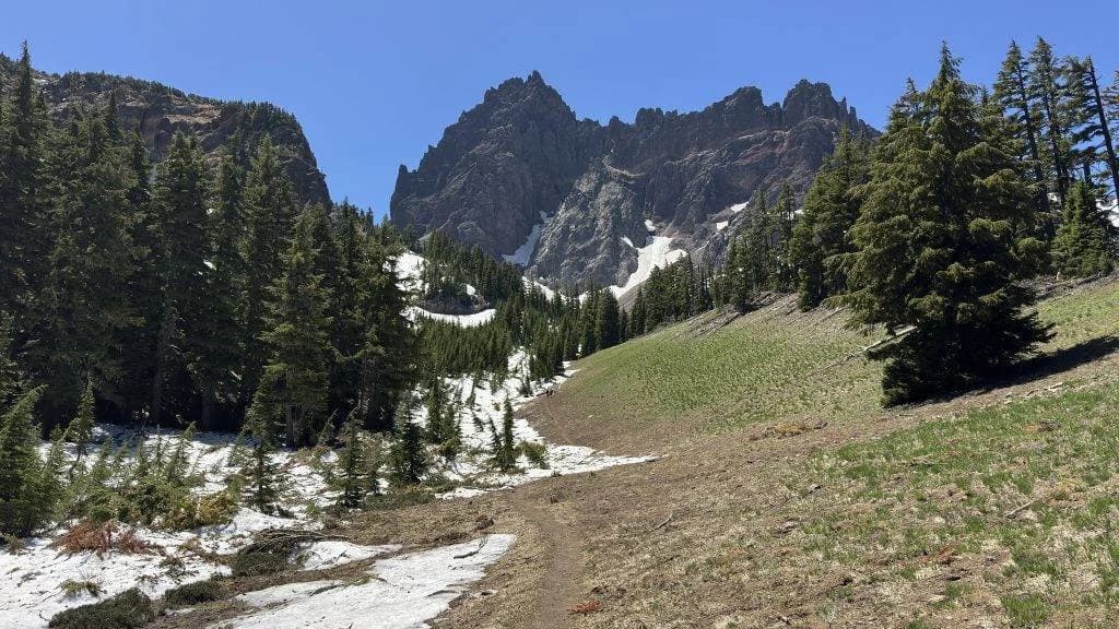 Mountain trail winding through snow patches and evergreens under clear blue sky.