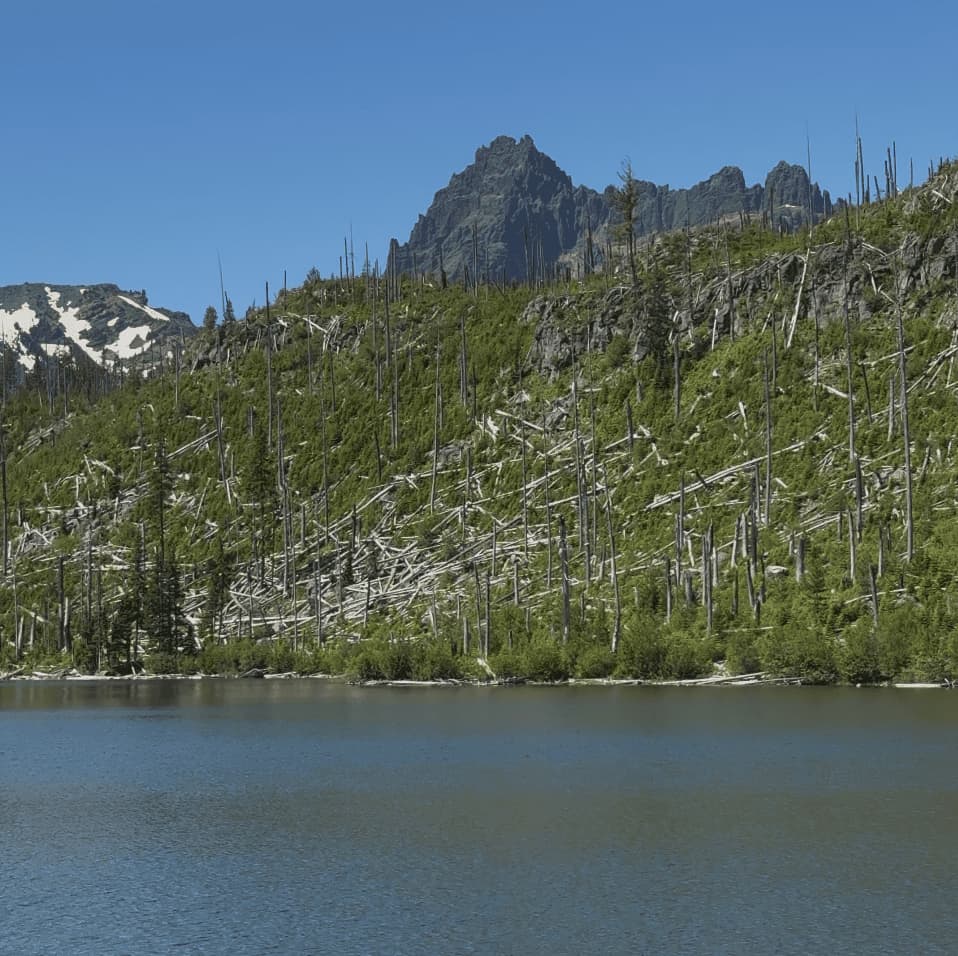 Mountain lake with green slopes, dead trees, and rocky peaks under blue sky