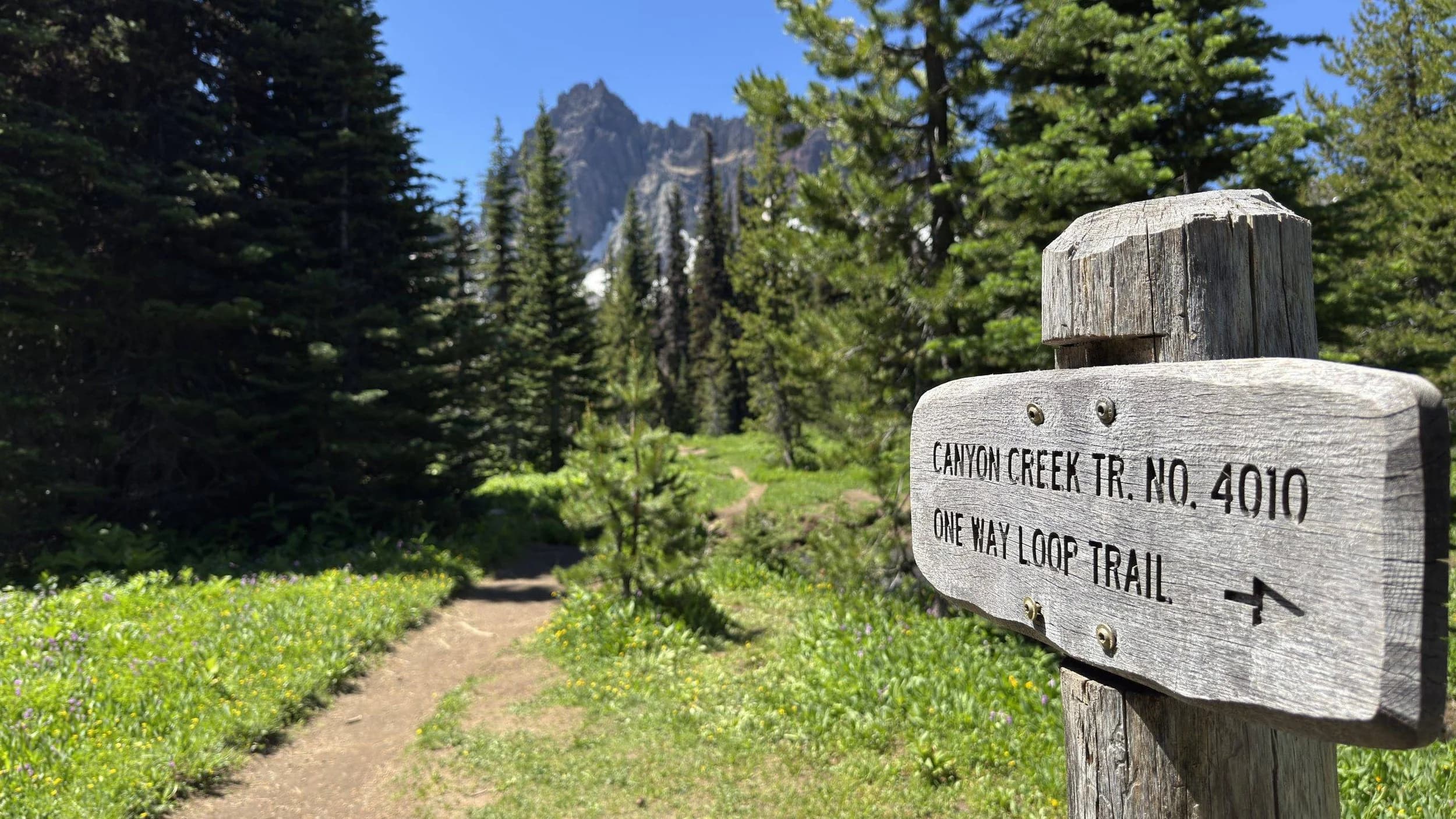 Wooden trail sign for Canyon Creek Trail 4010, one-way loop, with mountain path and forest in background.