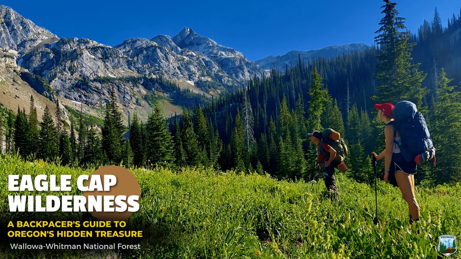 Two hikers with backpacks trekking through a green meadow toward forested mountains under a clear blue sky.