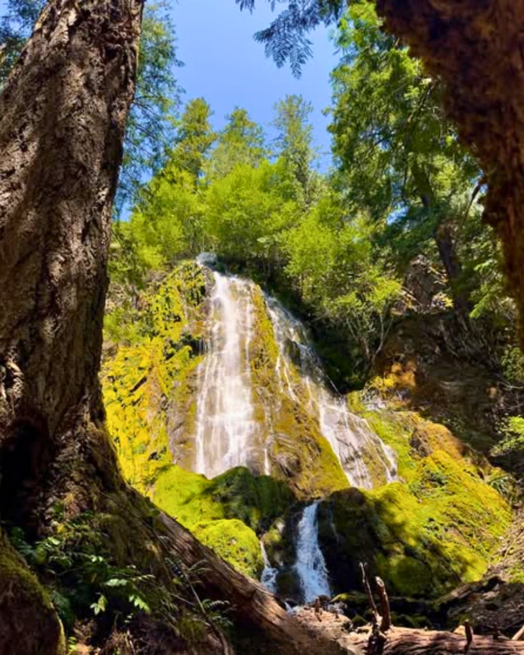 Waterfall cascading over mossy rocks in a lush green forest under blue sky.