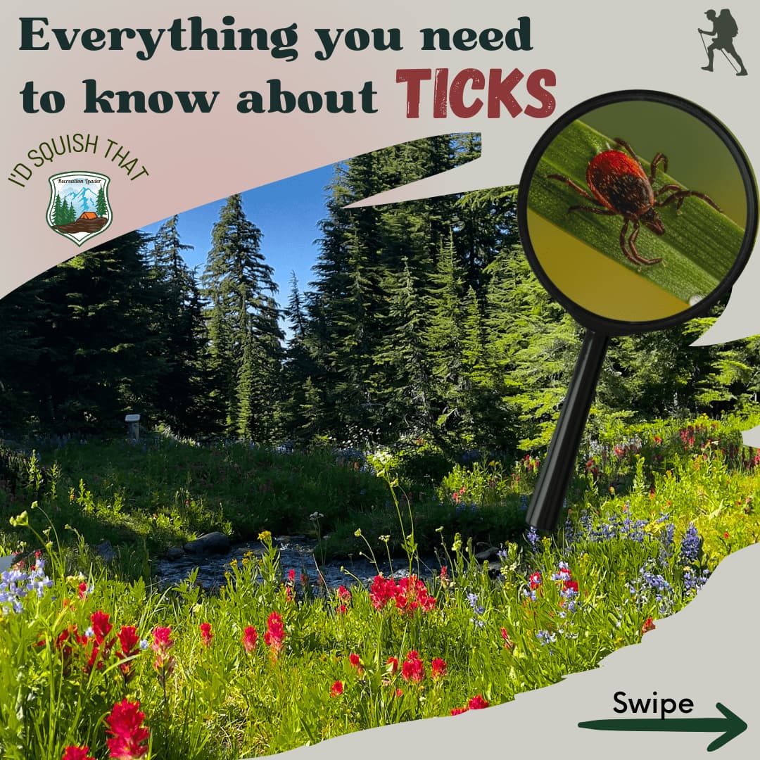 Forest trail with wildflowers and magnified tick, text: 'Everything you need to know about Ticks'